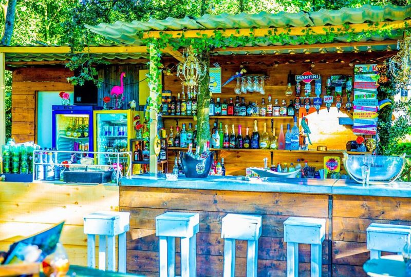 918e7dcaaf204784a9d2f1e35d22ebc9